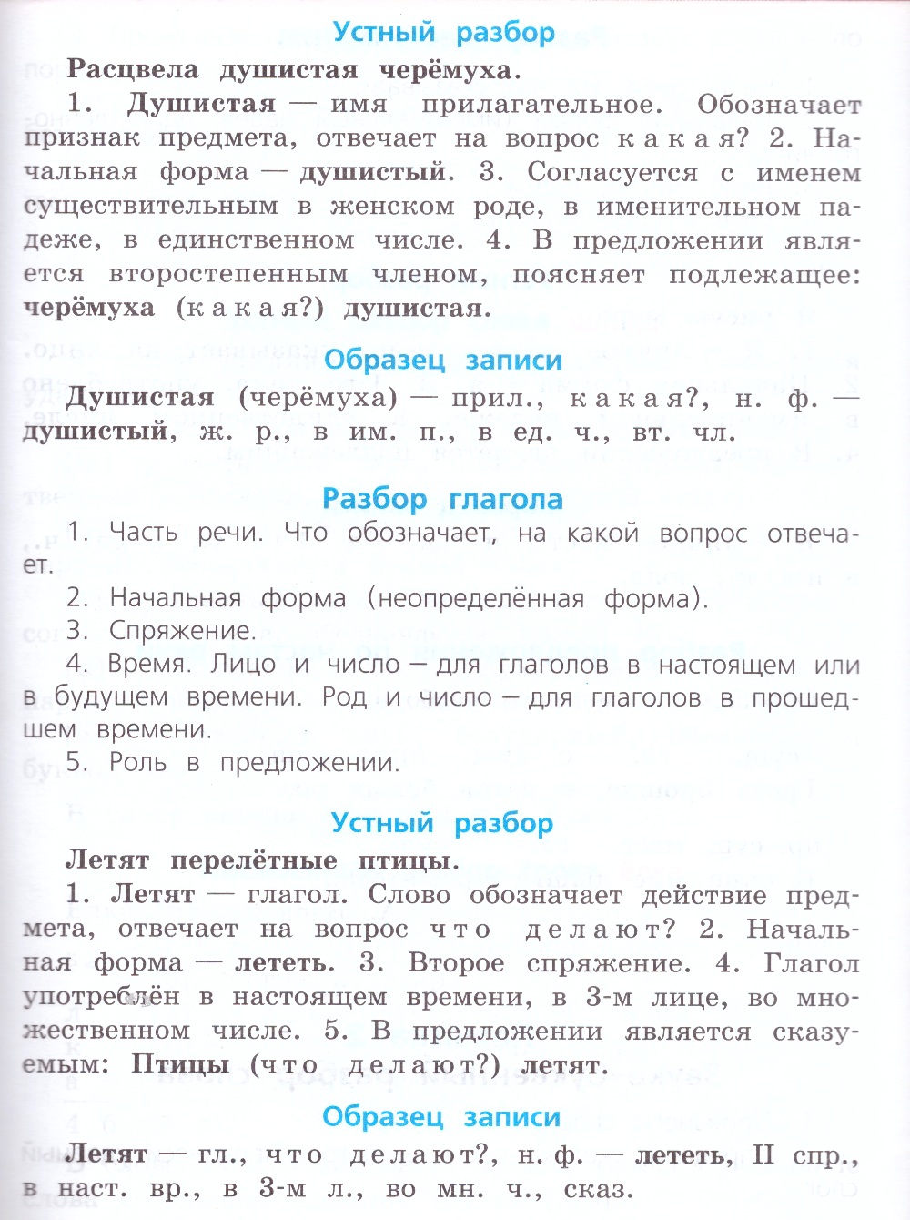 Зацвела разбор глагола 3 класс образец